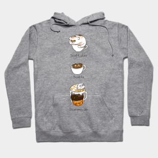 My favorite Coffee Scottish Fold Hoodie